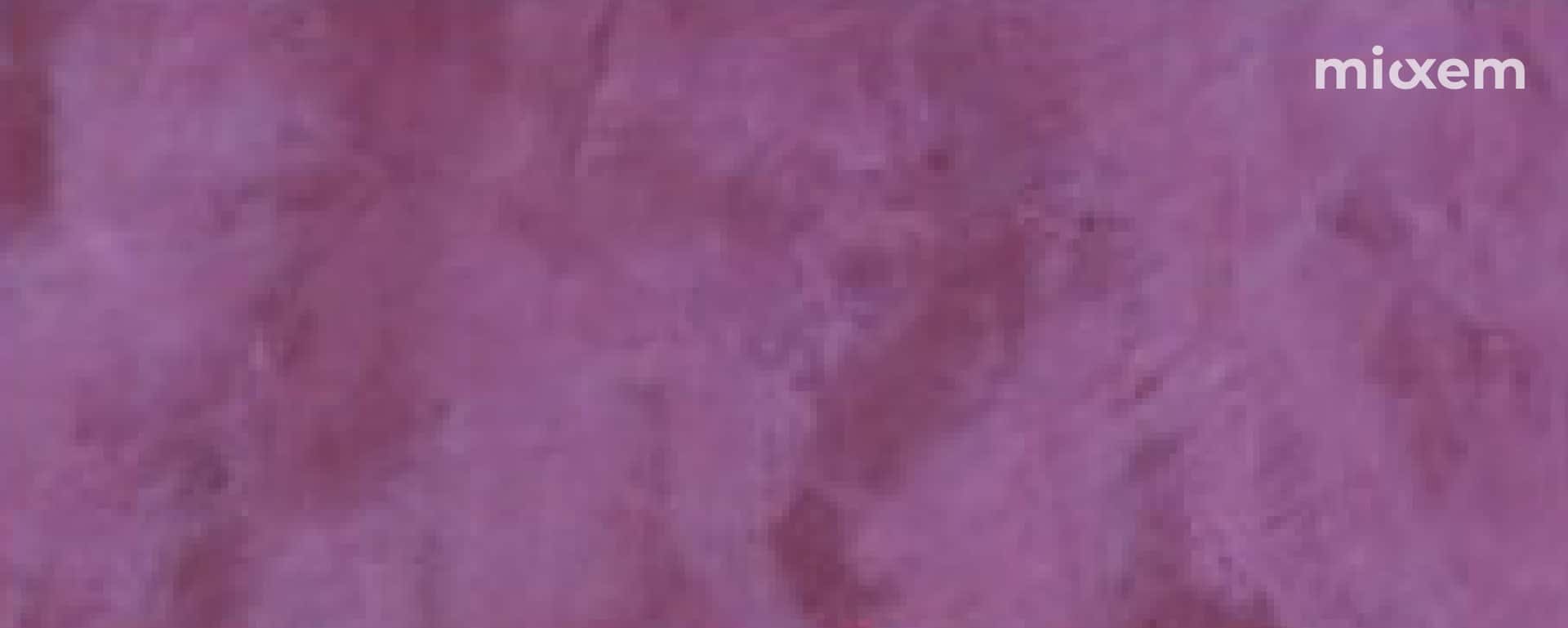 VINO - micxem